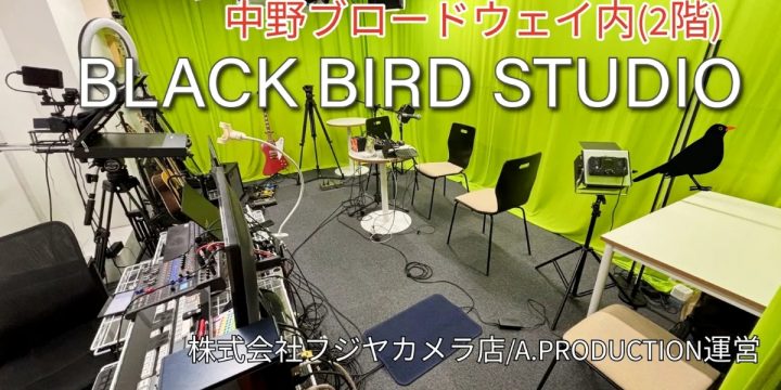 BLACKBIRDSTUDIO